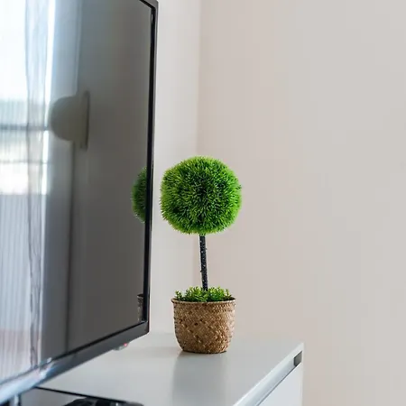 Appartement Conad By